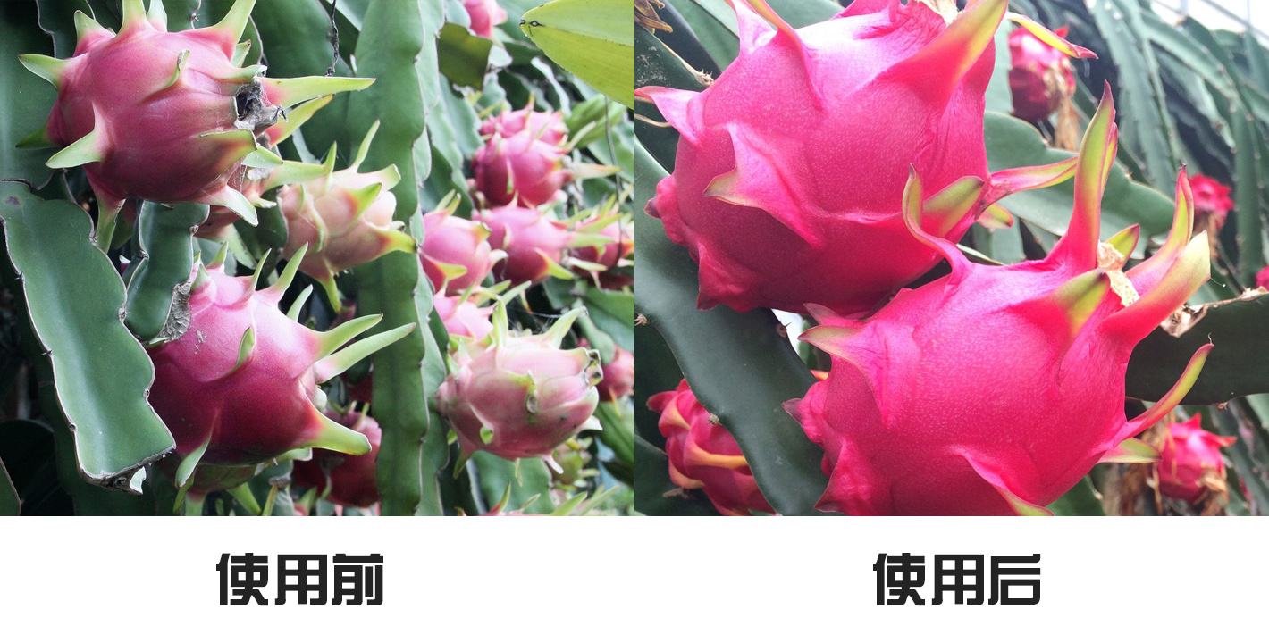 61c91445007b5.jpg