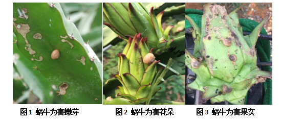 QQ图片20220103100233.png